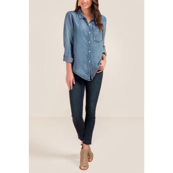 Liz Collar Buttown Down - Picture 4 of 6